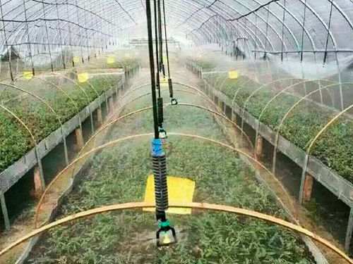 大棚吊掛微噴