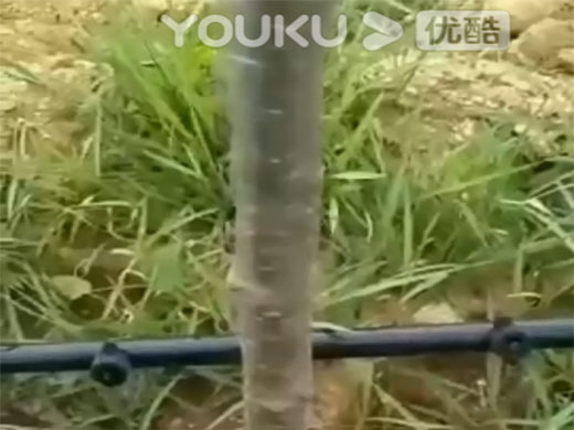 噴灌系列視頻