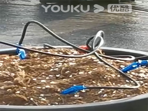 噴灌系列視頻